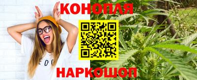 гашиш Кингисепп