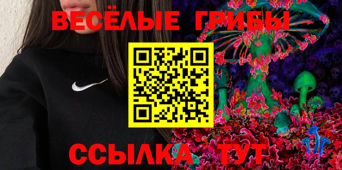 Галлюциногенные грибы Psilocybe Кудымкар