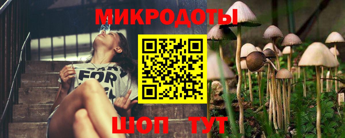 Кудымкар  что такое наркотик  Вход с VPN  Псилоцибиновые грибы ЛСД  Псилоцибиновые грибы Psilocybe 